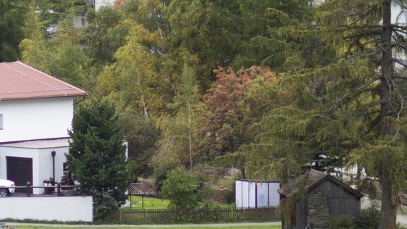 Haus Carmen am Waldesrand Foto Lorenzi - Apart Carmen - Sölden
