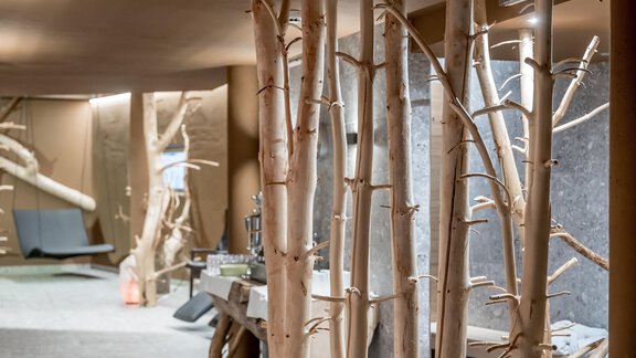 A modern interior with bright tree trunks and minimalist design. The space exudes a relaxed atmosphere. - Apart Hotel Garni Wieser - Sölden