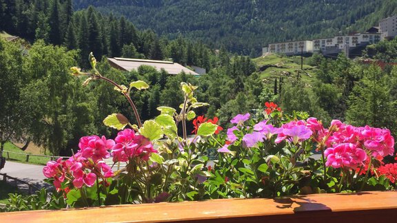 Ausblick Nederkogl - Hotel Garni Urbanhof - Sölden