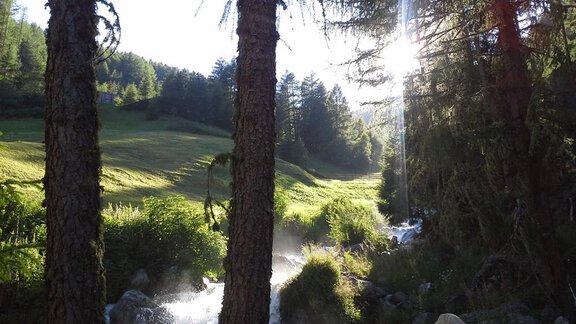 Ein klarer Bach fließt durch einen Wald mit hohen Bäumen. Im Hintergrund sind grüne Wiesen und die Sonne scheint durch die Äste. - La Luna - Sölden