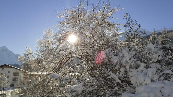 Ein verschneiter Baum vor einem klaren blauen Himmel. Im Hintergrund ist ein Gebäude zwischen den Bäumen zu sehen. - La Luna - Sölden