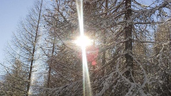 Ein sonniger Wintertag im Wald mit schneebedeckten Bäumen. Die Sonne strahlt durch die Äste und verleiht der Szene einen funkelnden Effekt. - La Luna - Sölden
