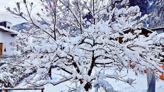 Garten im Winter - Haus Marieus - Umhausen