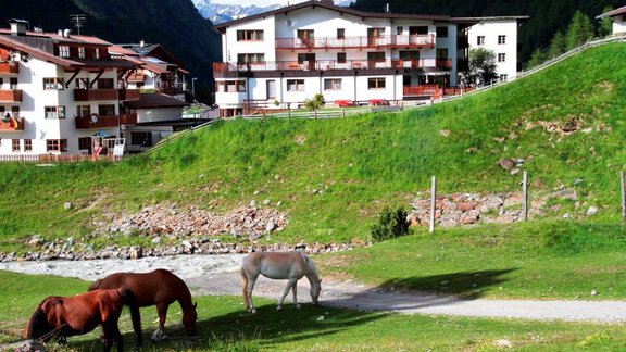 A beautiful meadow landscape with two horses grazing. In the background, modern buildings and mountains can be seen. - Gästehaus Soldanella - Vent