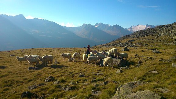 Weg über Lenzenalm - Apart Reinstadler Anita - Längenfeld