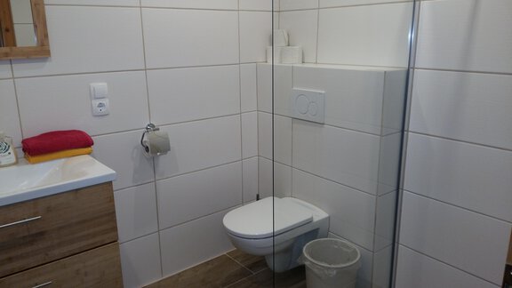Dusche1 - Haus Alpina - Längenfeld