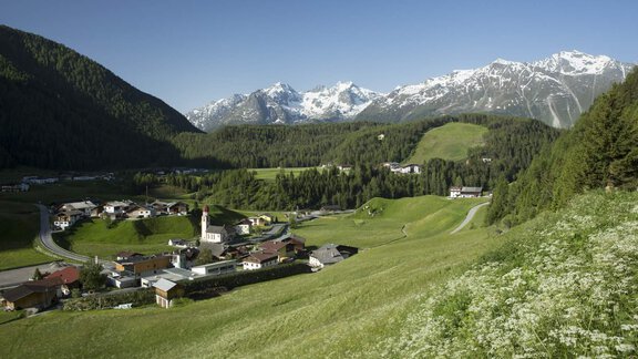 Ausblick Niederthai  - Appartements & Biobauernhof der Veitenhof - Niederthai