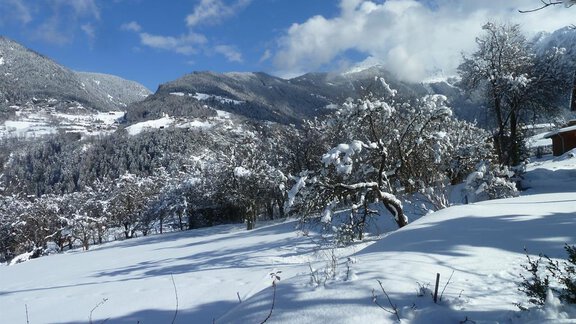 Blick nach Ötzerau - Haus Myriam - Sautens | © Haus Myriam