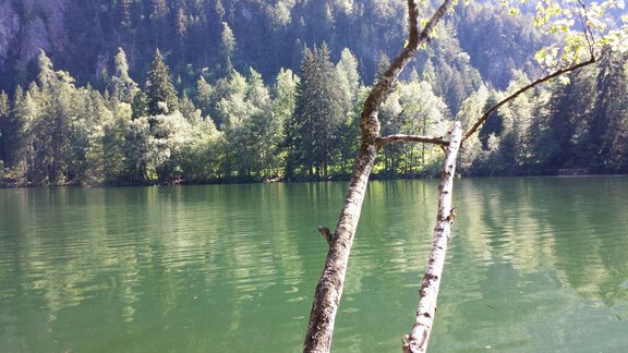 Natur - Haus Myriam - Sautens | © Haus Myriam