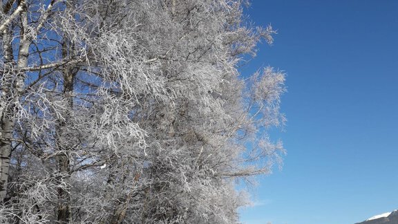 Winter in Tirol - Tiroler Haus - Sautens