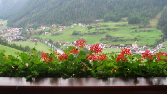 A beautiful view of green mountains and a valley with flowers on the windowsill. The red flowers add color to the landscape. - Appartement Harmonie - Sölden
