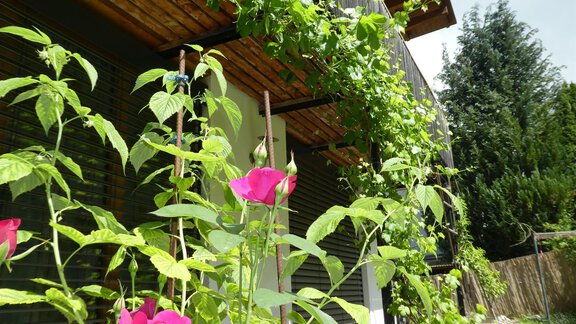 Balkon - Ferienwohnung "Zum Glück" - Sautens