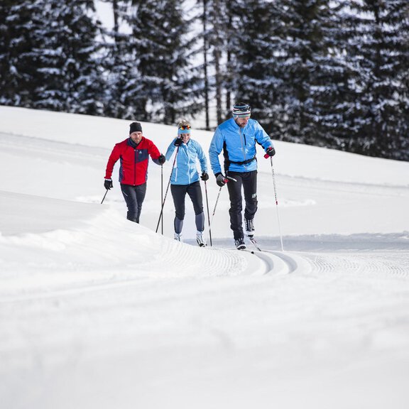 Three cross-country skiers are enjoying a wintry landscape. They are moving through fresh, untouched snow among tall trees. - ÖTZTAL TOURISMUS - Info Längenfeld (Alpinzeit) - Längenfeld
