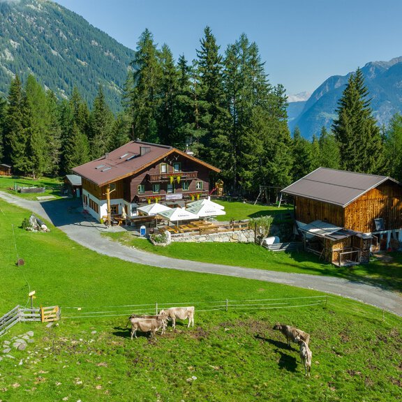 Eine malerische Berghütte umgeben von grünen Wiesen und hohen Bäumen. Im Hintergrund sind majestätische Berge zu sehen. - ÖTZTAL TOURISMUS - Information Längenfeld - Längenfeld