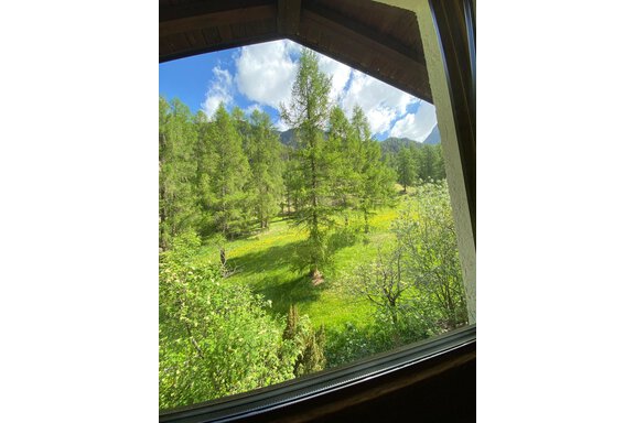 Eine malerische Landschaft mit grünen Bäumen und Wiesen. Der Himmel ist blau mit einigen Wolken. - Haus Bergkristall - Gries