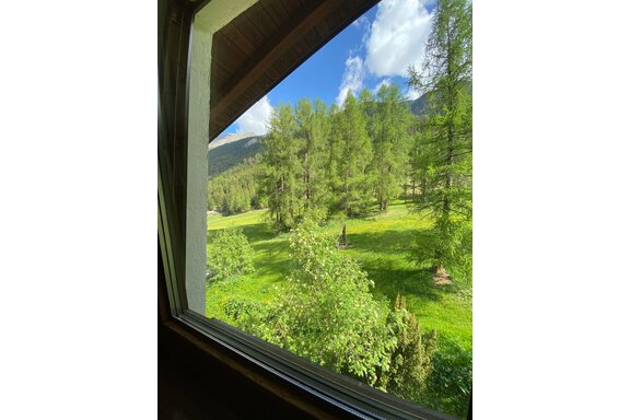 Blick aus einem Fenster auf eine grüne Landschaft mit vielen Bäumen. Der Himmel ist blau mit einigen Wolken. - Haus Bergkristall - Gries