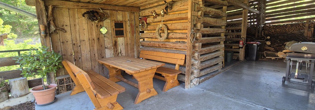 A cozy outdoor area with a wooden bench and a table. The surroundings are rustic with a wooden wall and a potted plant. - Landhaus Waldesruh - Haiming