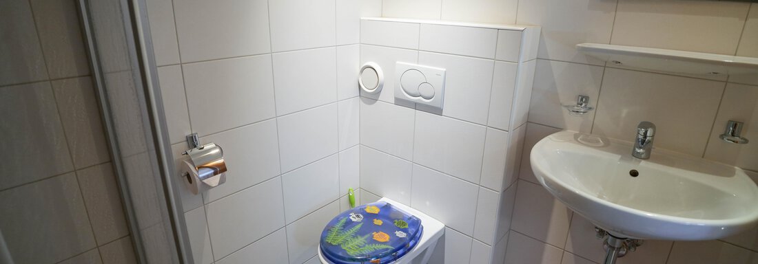 Badezimmer mit Dusche und WC - Appartement Jacqueline Top 1 & Top 2 - Huben