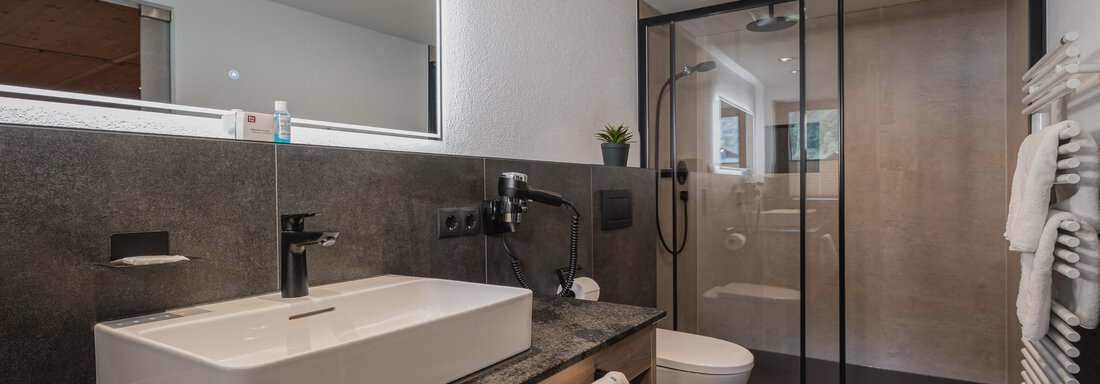 Ein modernes Badezimmer mit einer eleganten Waschbeckenanlage und einer klaren Duschkabine. Der Raum ist gut beleuchtet und stilvoll eingerichtet. - Appartements Alpenrose - Huben