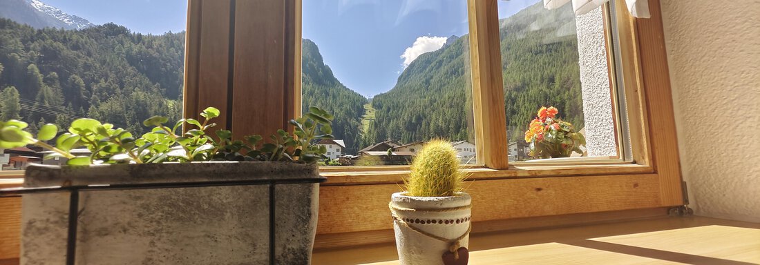 Fensteraussicht Sommer - Ferienwohnungen Stabentheiner - Huben