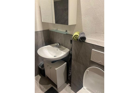 Badezimmer mit Dusche und WC - Alpenapart Grüner - Längenfeld