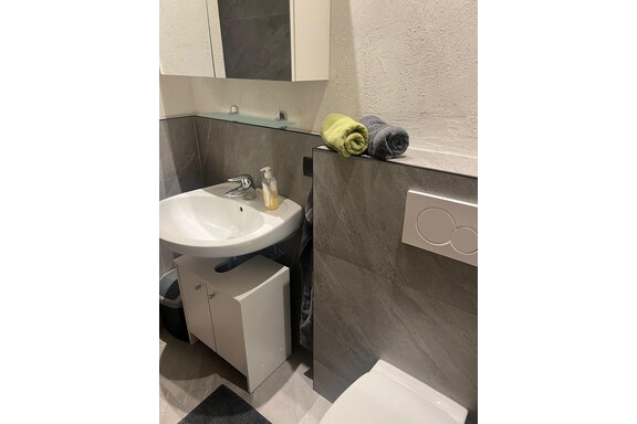 Badezimmer mit Dusche und WC II - Alpenapart Grüner - Längenfeld