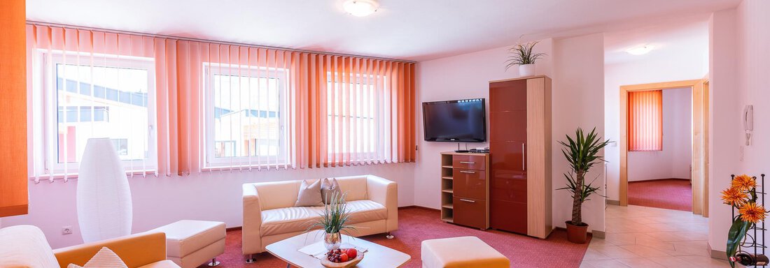 Wohnzimmer Wohnzimmer - Apart Andrea - Längenfeld