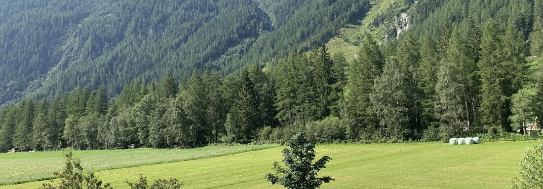 Aussicht Apart Polltal - Apart Armin - Längenfeld