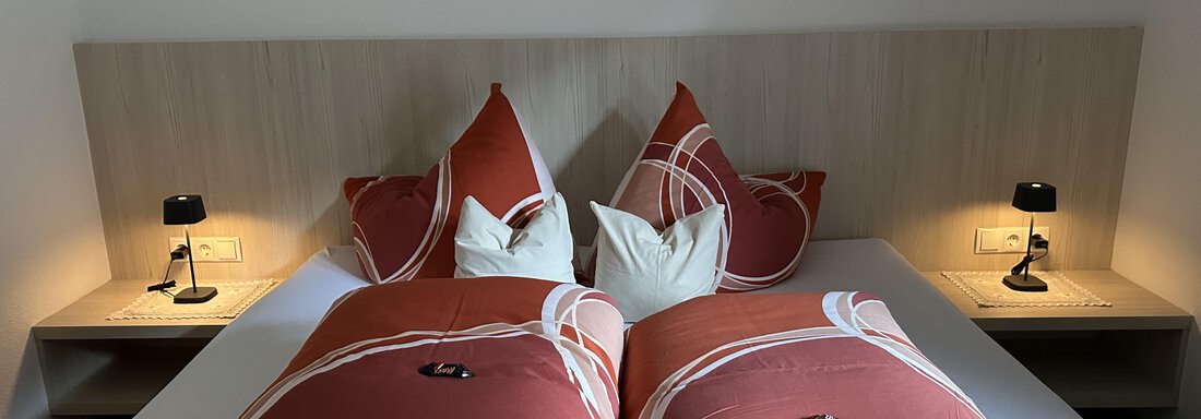 Apart Gamskogel Zimmer 2 - Apart Armin - Längenfeld