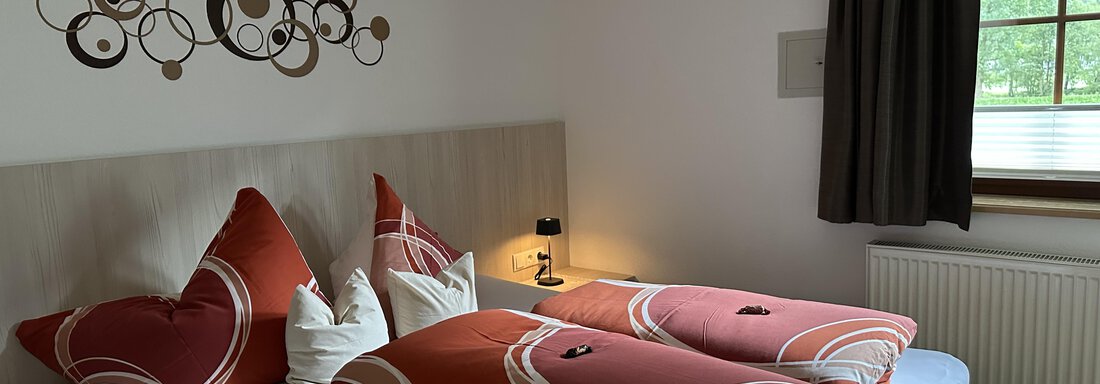 Apart Gamskogel Zimmer 2 - Apart Armin - Längenfeld