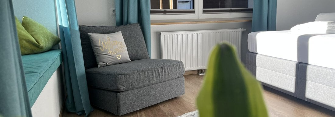 Zimmer mit Schlafsessel - Apart Aurelia - Längenfeld