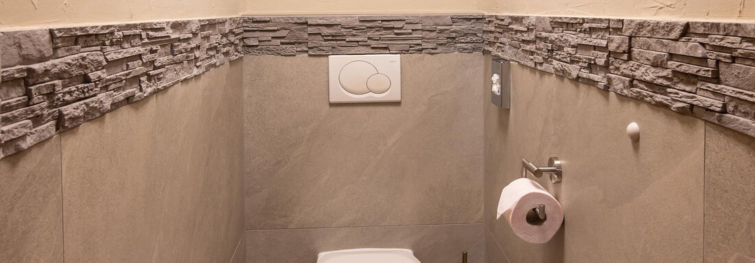 A modern, simple toilet with gray tiles and a rustic stone wall design. A framed picture of an eagle hangs on the wall. - Apart Conny - Längenfeld