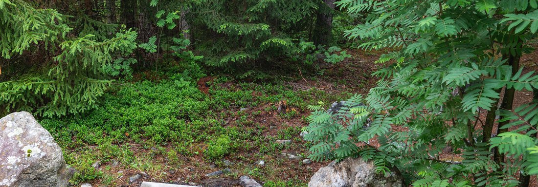 A small wooded area with concrete steps. Surrounded by trees and large rocks, the scene appears calm and natural. - Apart Conny - Längenfeld