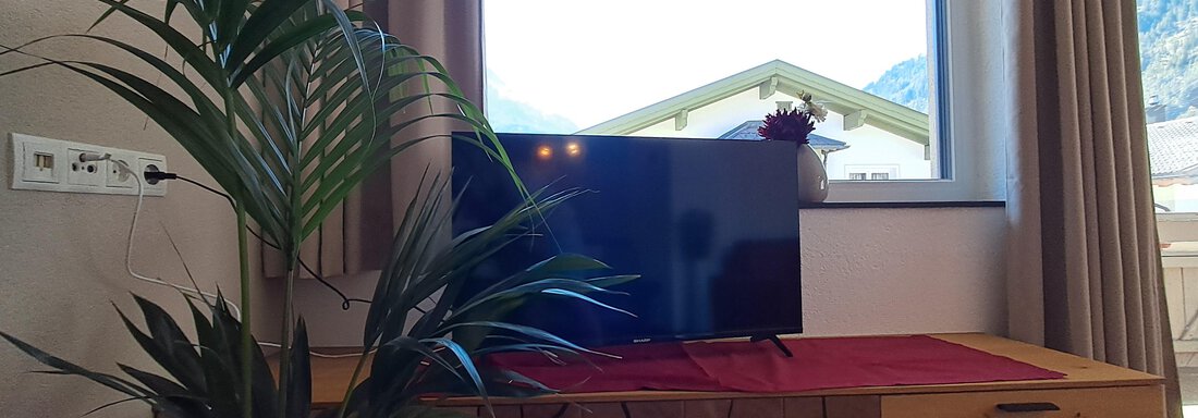 Wohnzimmer - Apart im Tal - Längenfeld