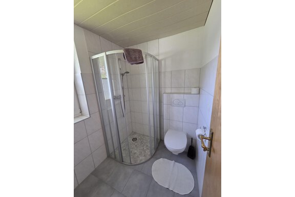 Ein modernes Badezimmer mit einer Dusche und einer Toilette. Die Wände sind gefliest und es gibt einen weißen Duschvorleger. - Apart Luca - Längenfeld