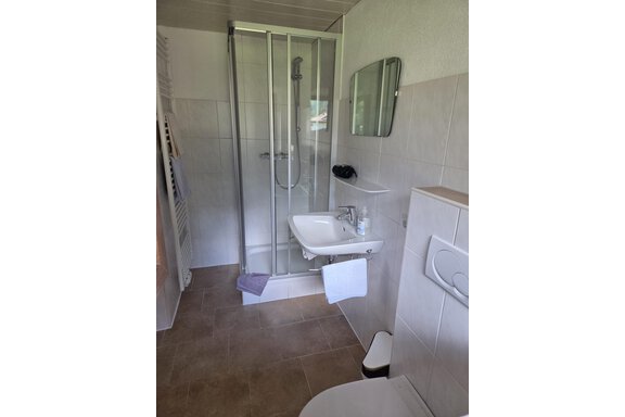 Ein modernes Badezimmer mit einer Dusche, einem Waschbecken und einem WC. Die Wände sind hell gefliest und das Raumdesign ist einfach und funktional. - Apart Luca - Längenfeld