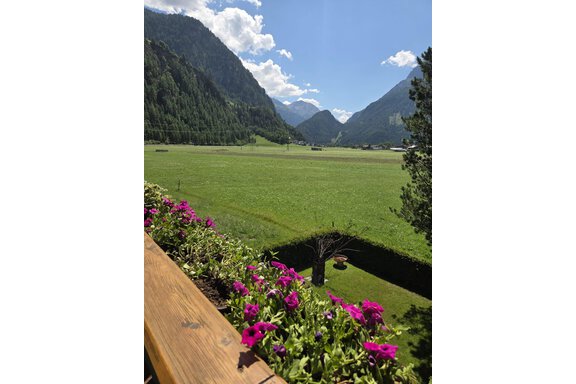 Ein schöner Blick auf eine grüne Wiese umgeben von Bergen. Blumen blühen auf einem Balkongeländer im Vordergrund. - Apart Luca - Längenfeld
