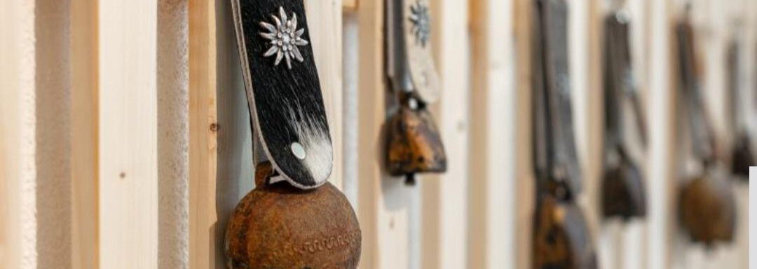 A row of traditional cowbells hangs on a wooden fence. The bells have various designs and materials. - Apartment DoLa - Längenfeld