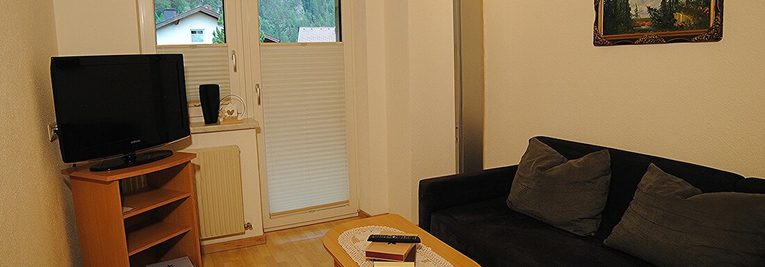 A cozy living space with a dark blue sofa and a wooden coffee table. A television and a window provide light and a view. - Appart Tanja - Längenfeld