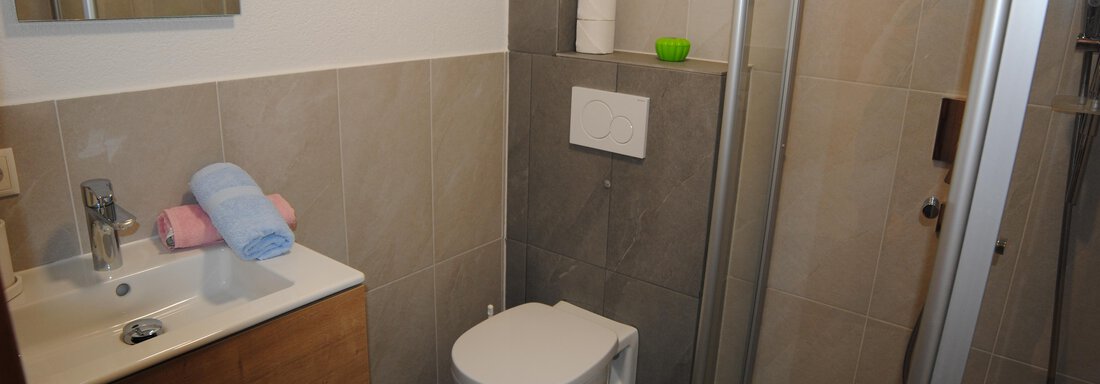 A modern bathroom with a walk-in shower and a sink cabinet. - Appart Tanja - Längenfeld