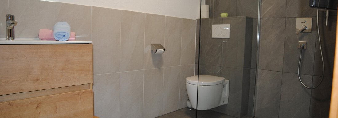 A modern bathroom with gray tiles and a transparent shower cabin. There is a wooden sink and a toilet. - Appart Tanja - Längenfeld