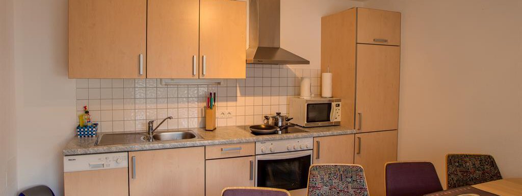 Küche Küche - Appartement Alexander - Längenfeld
