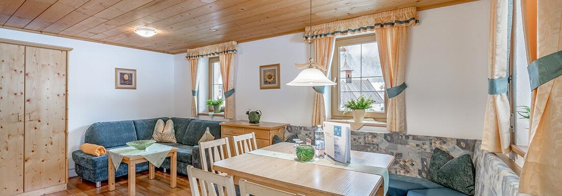 wilde-geige-03 - Appartements Breitlehn - Längenfeld