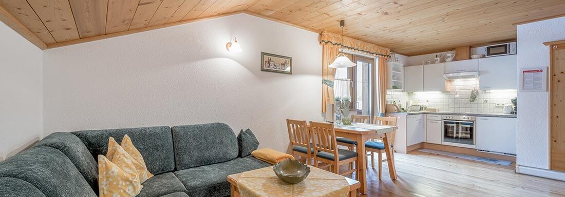 hahlkogl-01 - Appartements Breitlehn - Längenfeld