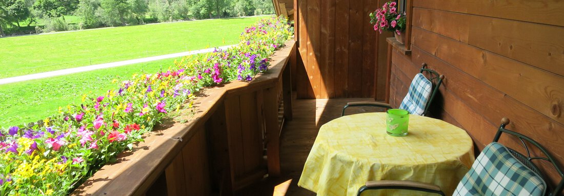 Patrik 011 - Appartements Breitlehn - Längenfeld