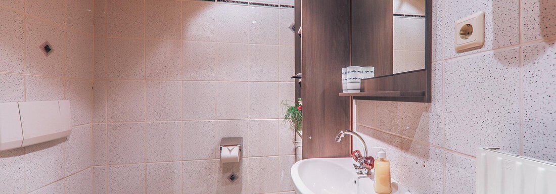 Badezimmer - Bauernhaus Auer - Längenfeld