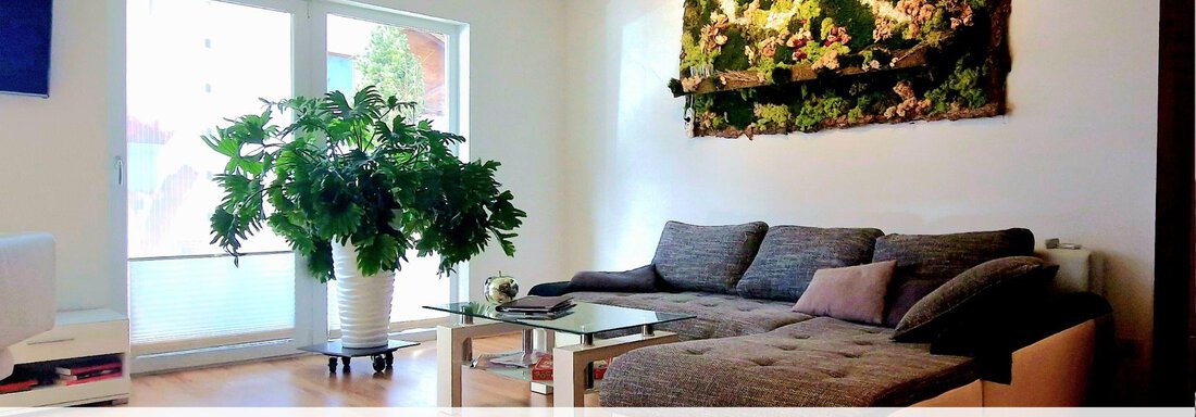 sofa im Superior - Elke´s Ötztal Apartments - Längenfeld