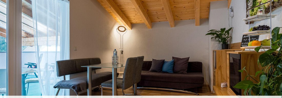 offener Wohnraum - Elke´s Ötztal Apartments - Längenfeld