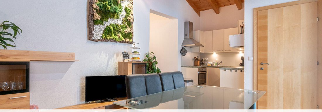 Offener Wohnberreich - Elke´s Ötztal Apartments - Längenfeld