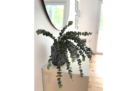 Einzelheit - Mountain Space - Längenfeld